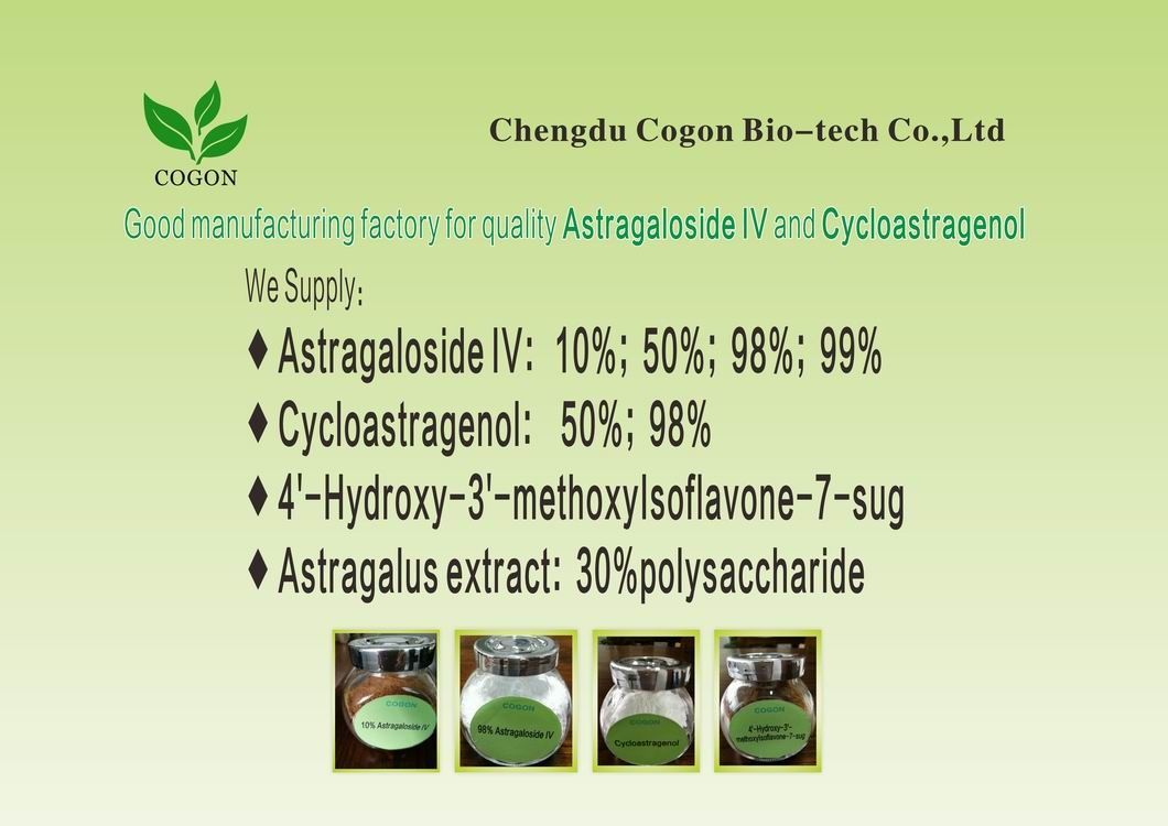 كما Pb Hg 0.5 Ppm استراغالوس الجذر استخراج مسحوق تيلوميراز المنشط الأبيض