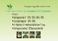 Cd 0.1ppm Astragalus الغشائي استخراج 10٪ Astragaloside IV 1.6٪ Cycloastragenol